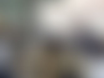 비앙코디푸로 커머셜 블렌더 2019 서울 카페&베이커리페어 참가 (세텍, 서울)
