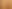 surface of mature.jpg