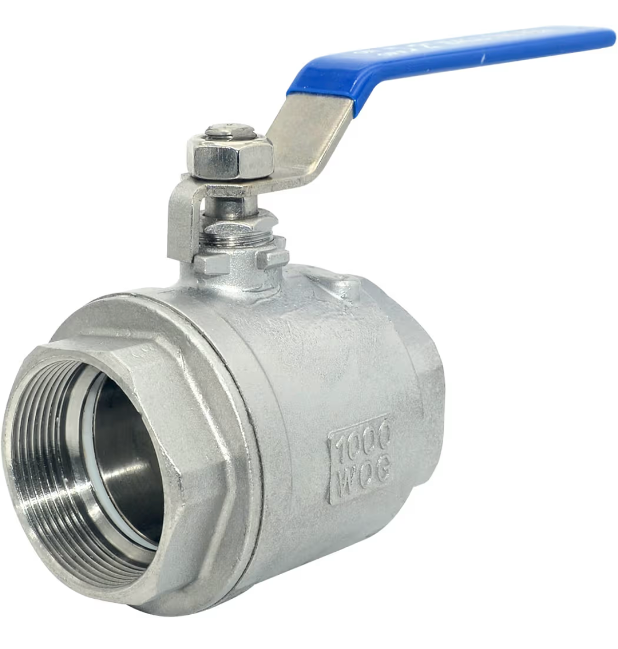 2" NPT Female 316 Stainless Steel Full Port Ball Valve Vinyl Handle WOG1000