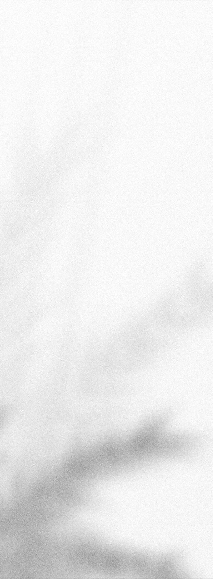 background 7.jpg