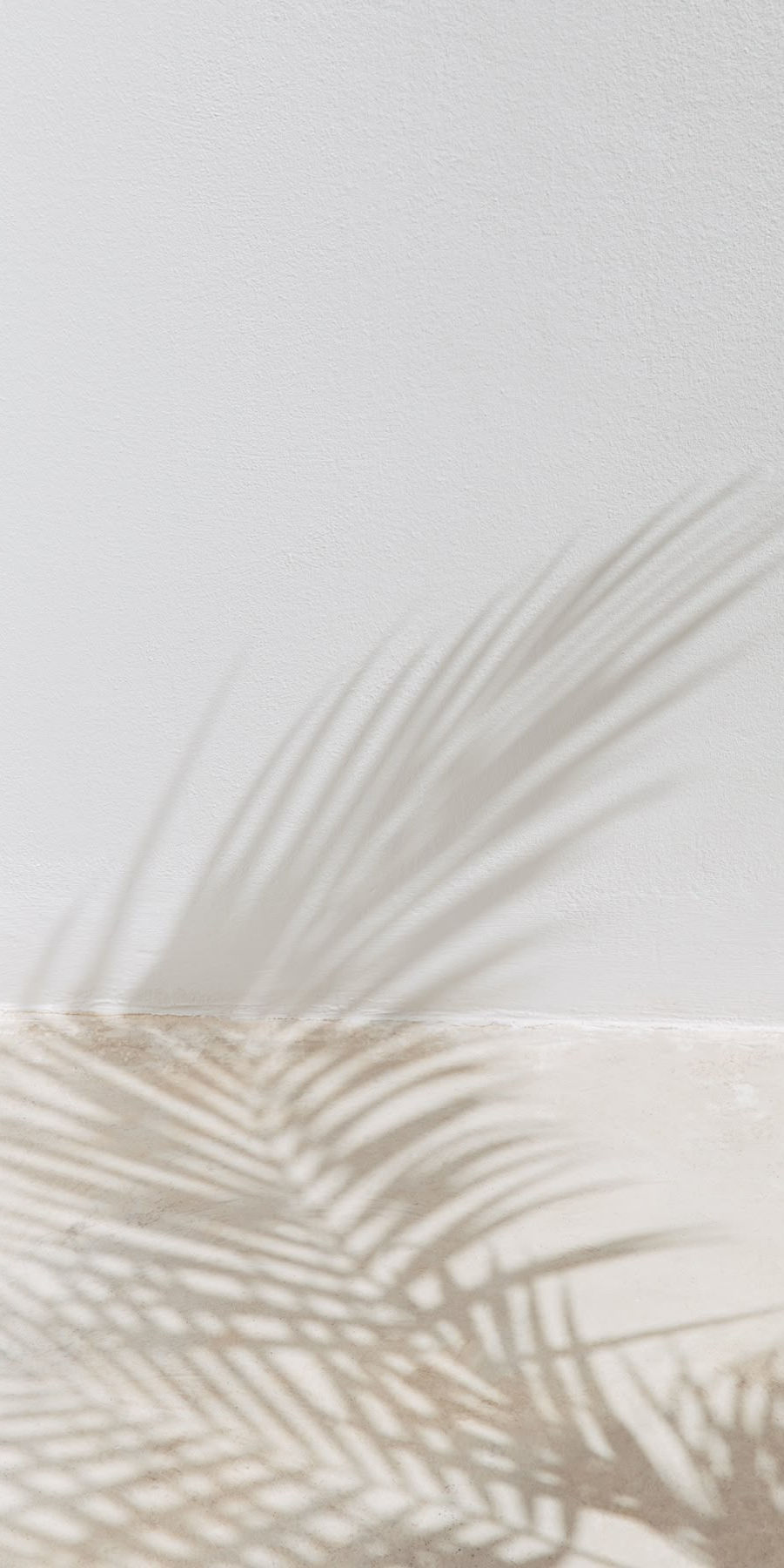 background 8.jpg