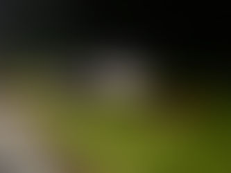 Warden MRSM bekas tentera maut nahas jalanraya