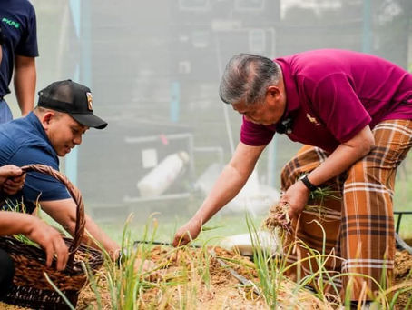 MARDI hasilkan tiga variasi bawang baharu