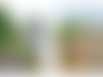 雑草による歩車道の幅員減少対策