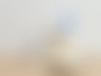 鉄分含有量・世界2位⁉「室蘭せきね鐡塩」販売開始！