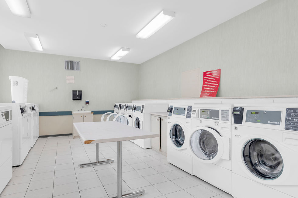 083-201_palmer-zlaundry