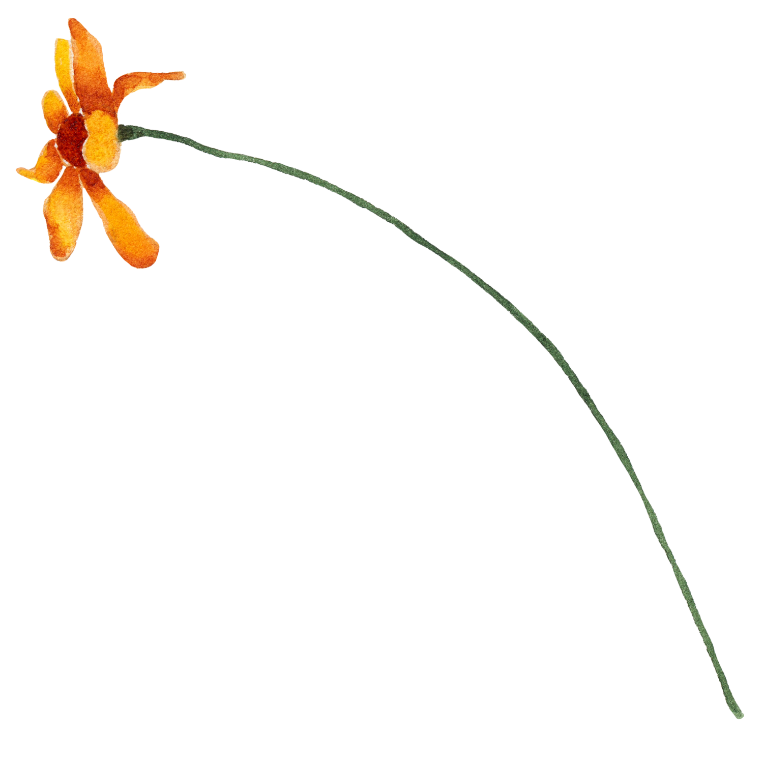 orange blomma.png