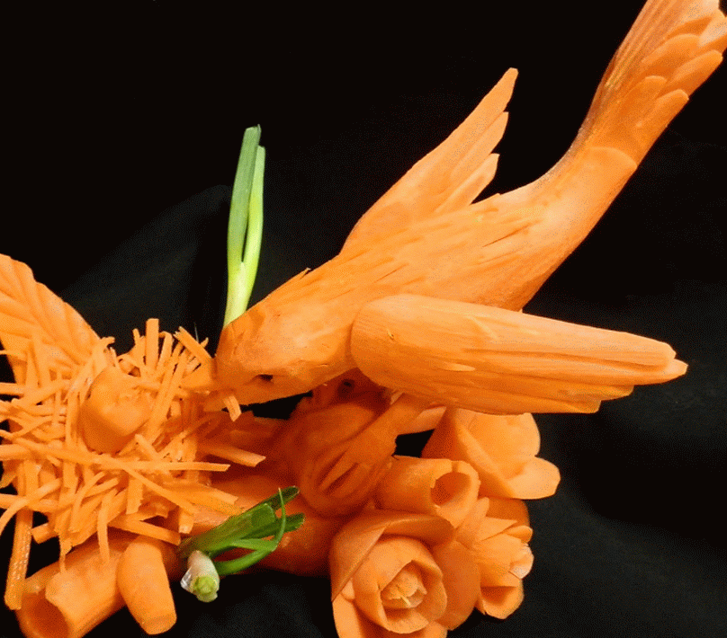 Picasa - Mis pequeños pájaros, peces y ranas no pueden describirse: todo lo que 