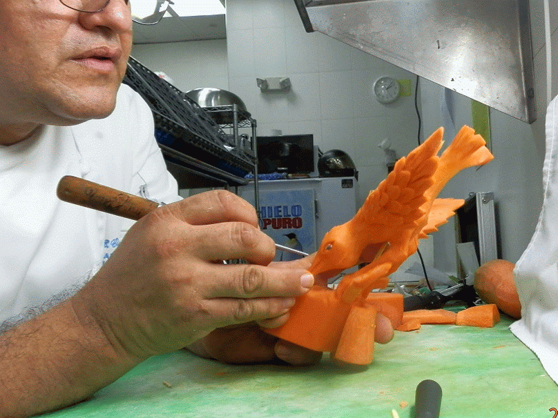 Picasa - PA037842-MOTION.gif