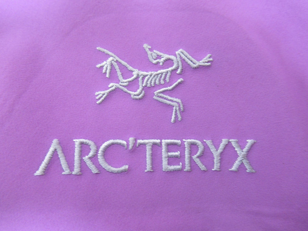 Thumbnail: Arc'teryx Women's Beta Ar Jacket Storm Glow Size L Hooded