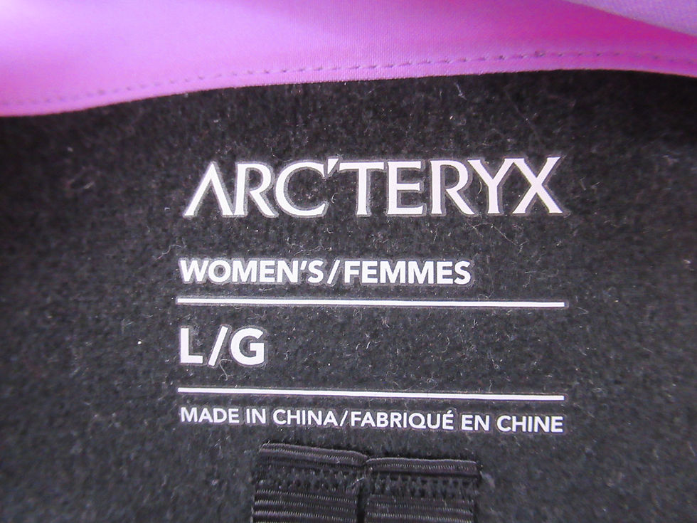 Thumbnail: Arc'teryx Women's Beta Ar Jacket Storm Glow Size L Hooded