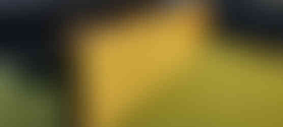 Different angle of closed bass case sitting upright