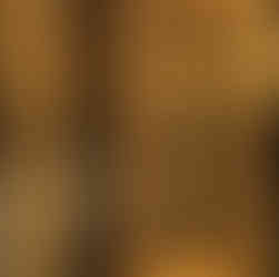 Full view from the front