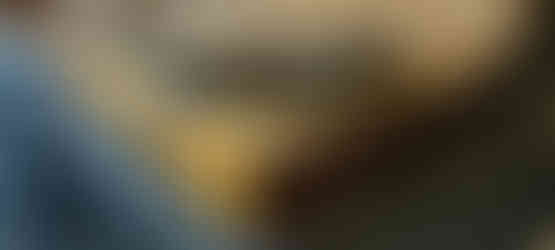 Close-up of opened bass case showing woodworking accents on corner and fuzzy fabric inside