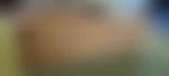 Another view of the bass case sitting on the floor