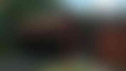 3d render of garage and breezeway entrance