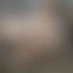 Assembled cat shelf with no finish, standing in wood shop