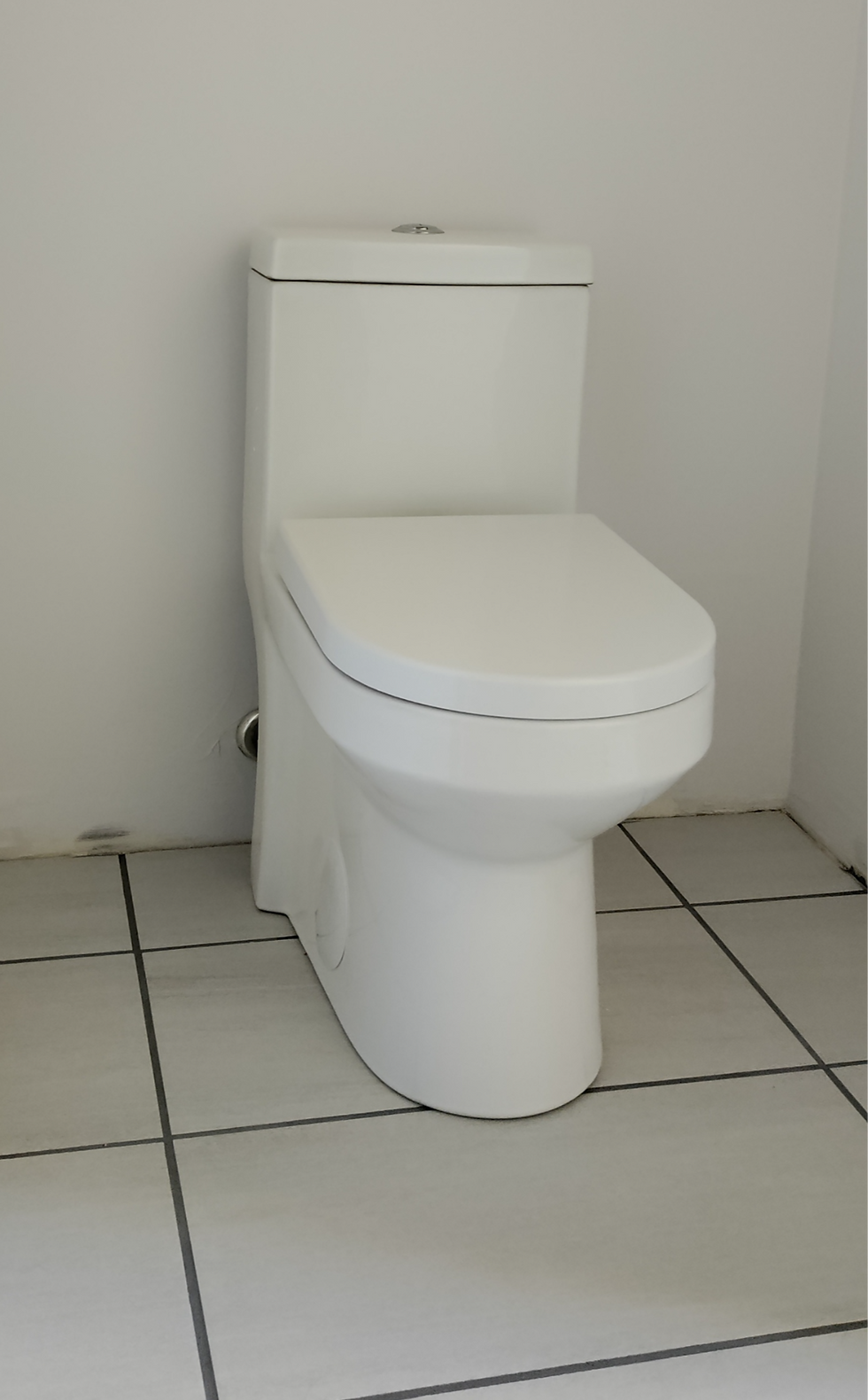 Modern one-piece toilet installed