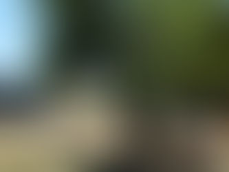 Más de 160 mil personas disfrutaron las playas uruguayenses en la primera quincena de enero