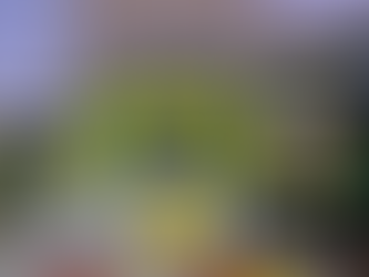 El Centro de Desarrollo de la Niñez “Tuiti” celebró sus 30 años