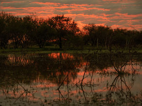 El plomo cero en humedales se convirtió en una realidad en Entre Ríos