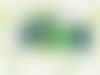 El calendario escolar 2026 comenzará el 11 de febrero en Entre Ríos