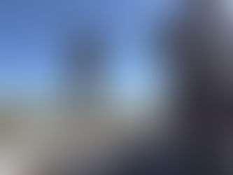 Se realizó el relevamiento anual de anátidos en Argentina, Uruguay y regiones asociadas