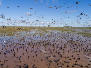 Conocer para conservar