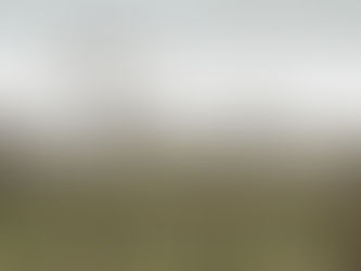 Dudas sobre la legitimidad de CEYDAS en la demanda contra la Ley de Caza