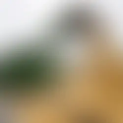 La producción de soja en Entre Ríos fue la tercera más importante desde el ciclo 2000/01