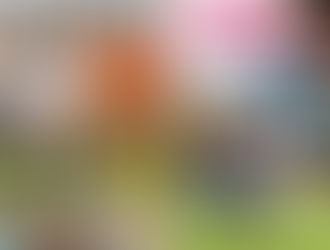 Colón puso en marcha el ciclo 2026 de las Escuelas Deportivas Municipales