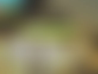 Colón prepara una amplia agenda de actividades en el Puerto para Semana Santa