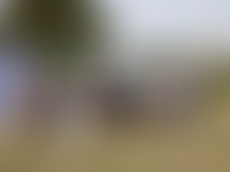 Se conformó la Comisión Vecinal “Altos del Bolacuá”