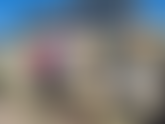 Por el Día Nacional del Árbol, se plantaron 68 especies nativas en Gualeguaychú