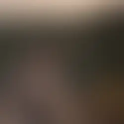 ¿Cómo impacta el turismo de caza en la sociedad? - Por ACETRA*