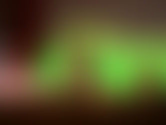 Gualeguaychú fortalece el trabajo en la primera infancia