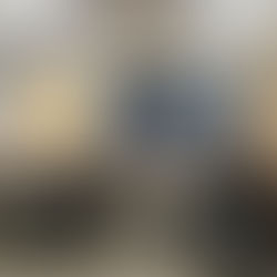 Una estrategia: El gobierno sustentable de la biodiversidad