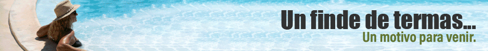 MOTIVOS 955x100.gif