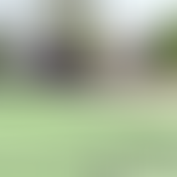 Comenzó la instalación del piso de la nueva cancha de hockey