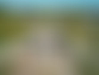 El Parque Industria continua con sus obras para impulsar el desarrollo