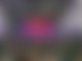 Con éxito y gran convocatoria, se vivió el Pre ArtesanÃa 2025 en Colón