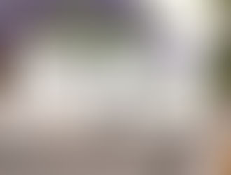 José Luis Walser anunció el proyecto de la nueva 12 de Abril