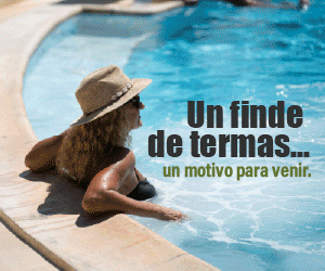 MOTIVOS 300x250.gif