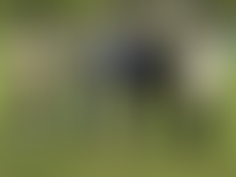 Intendentes de la Microrregión trataron una agenda basada en turismo, ambiente y tratamiento regional de residuos