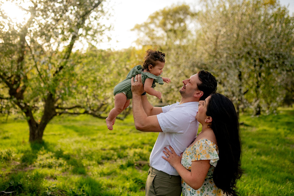 Wide angle view of long grass and wildflowers at Breakneck Hill