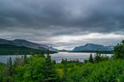 landscape (3)