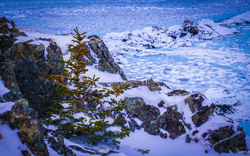 landscape (14)
