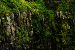 landscape (4)