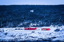 landscape (13)