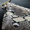 Thumbnail: Snakeskin Bone